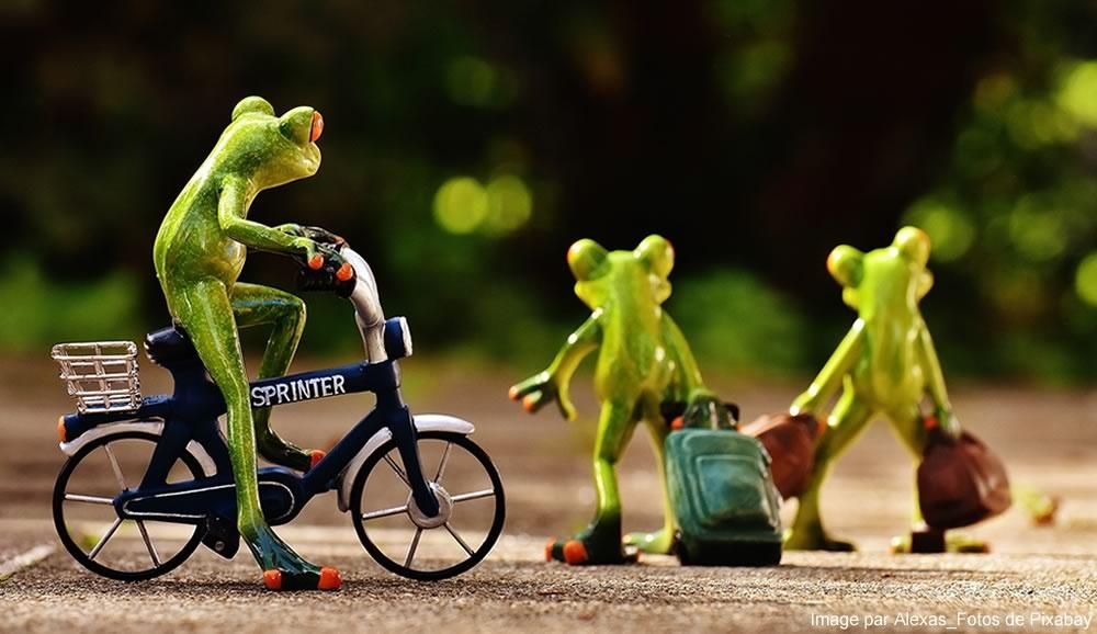Le matériel pour une randonnée à vélo
