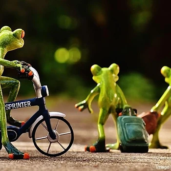 Le matériel pour une randonnée à vélo